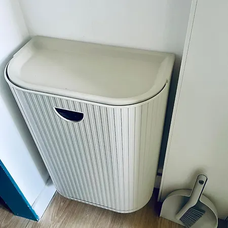 Cathedral And Seine View , Heart Of